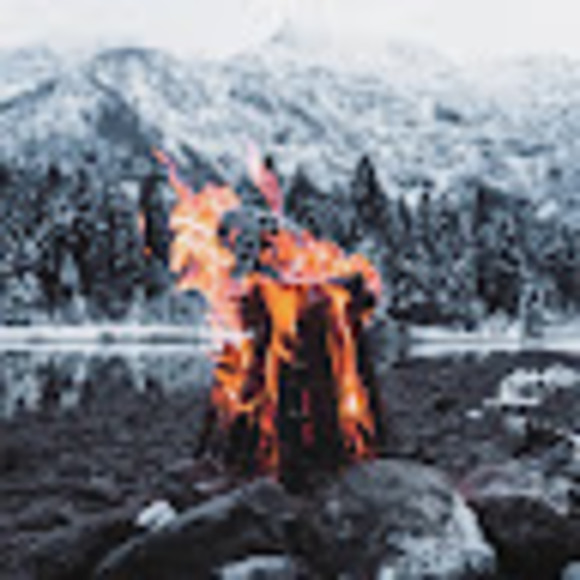 Meet your Posher, Charles - Picture 1 of 1